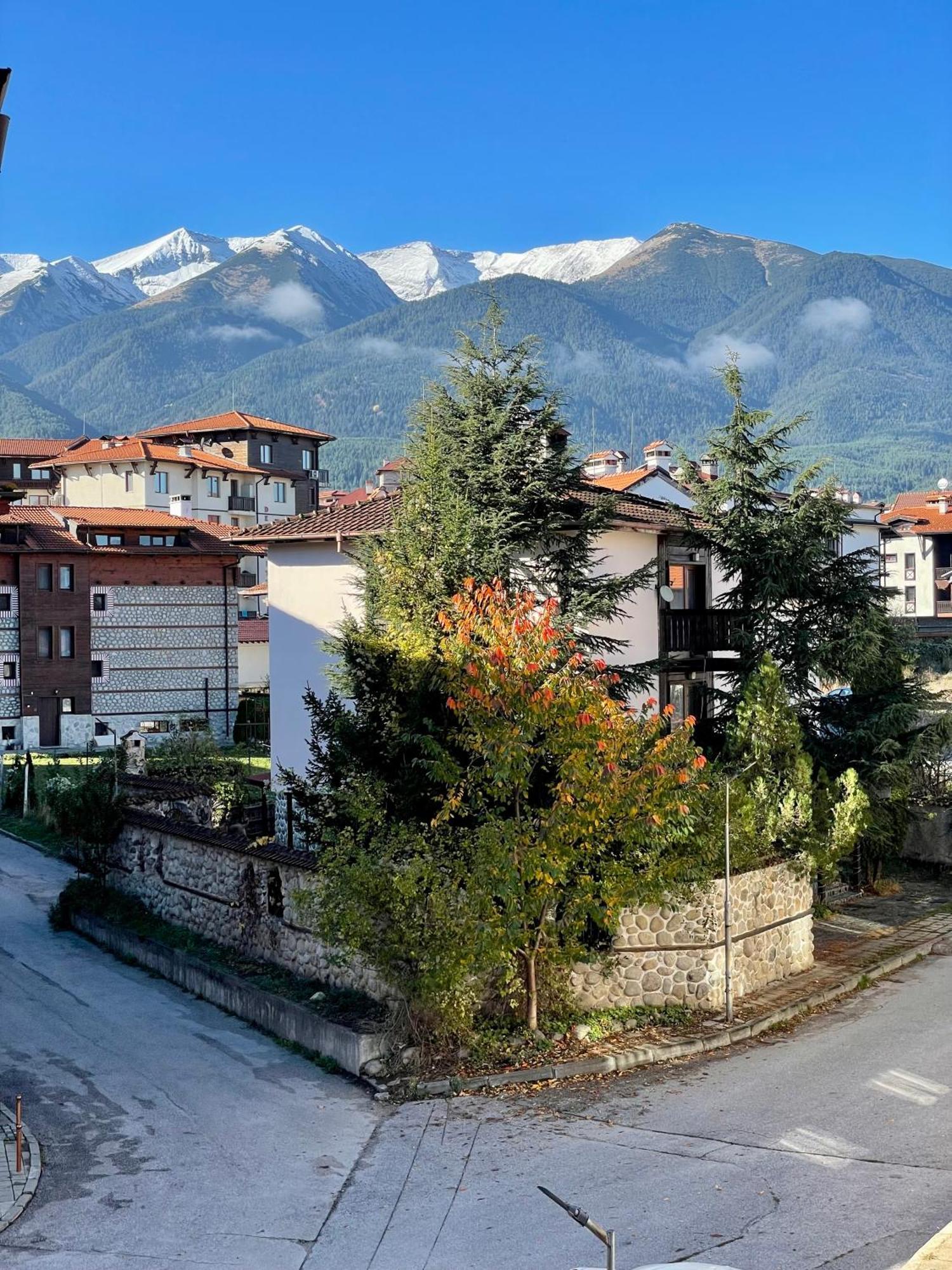 Private Apartments Next To Bellevue Residence Bansko Eksteriør billede